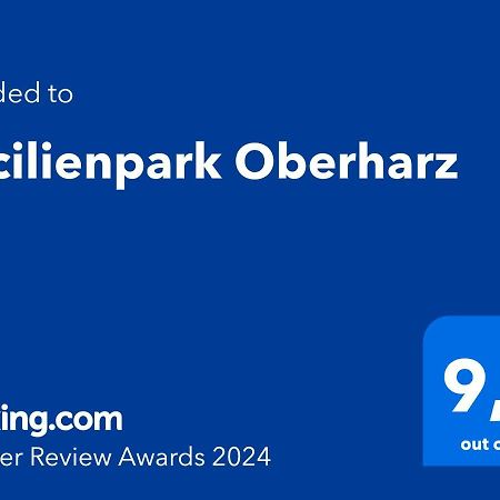 Cecilienpark Oberharz Villa Goslar Ngoại thất bức ảnh