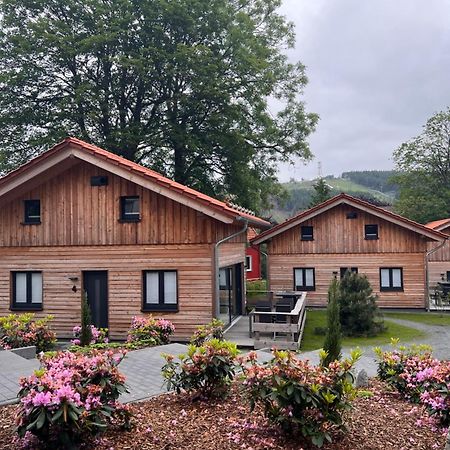 Cecilienpark Oberharz Villa Goslar Ngoại thất bức ảnh