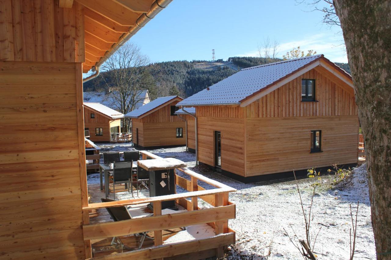 Cecilienpark Oberharz Villa Goslar Ngoại thất bức ảnh