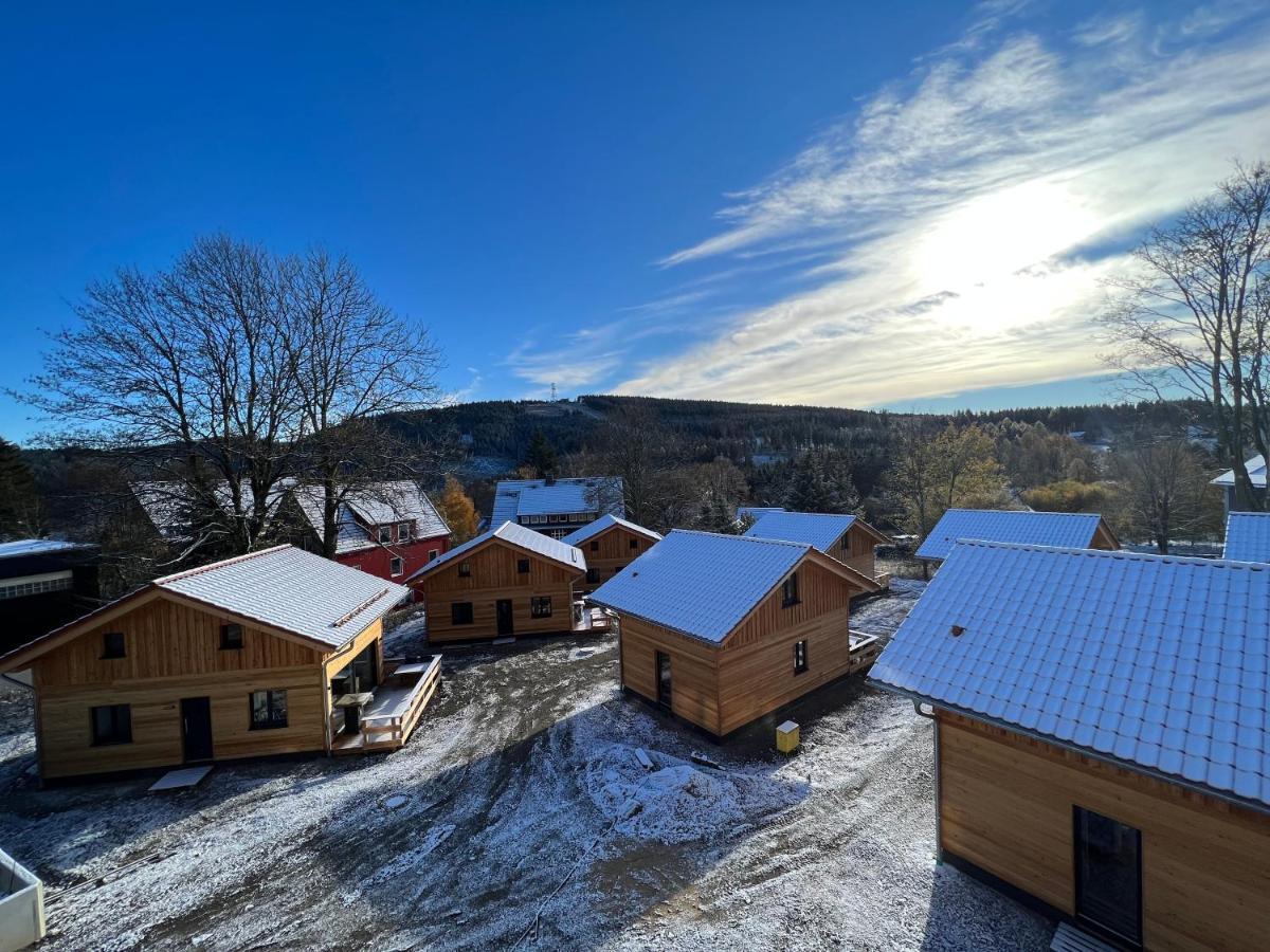 Cecilienpark Oberharz Villa Goslar Ngoại thất bức ảnh
