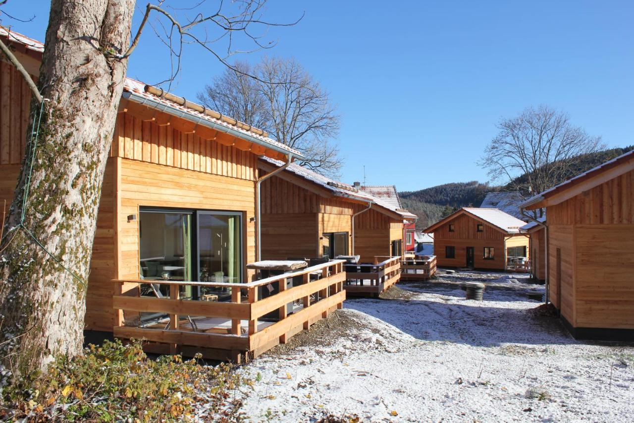 Cecilienpark Oberharz Villa Goslar Ngoại thất bức ảnh