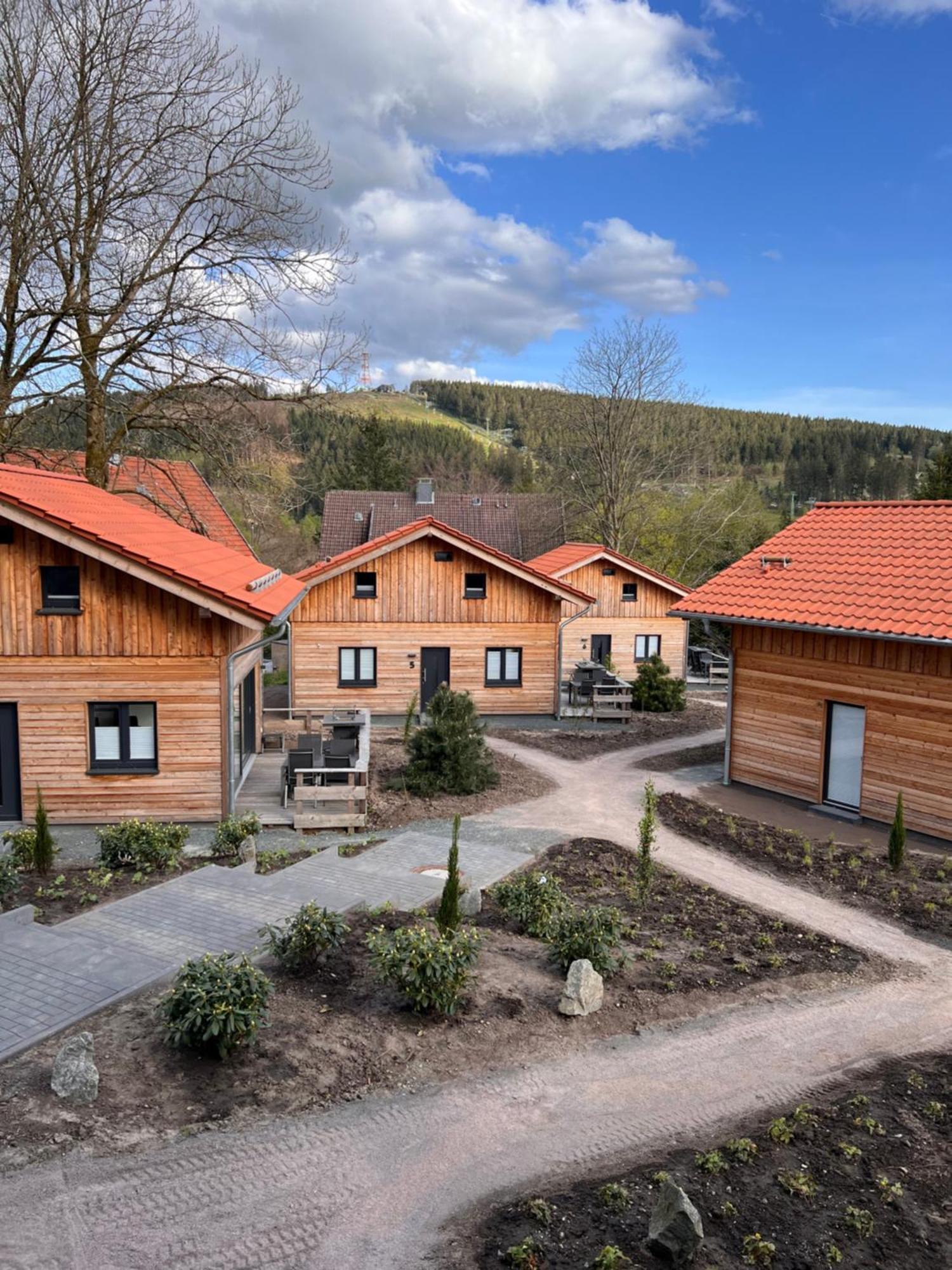 Cecilienpark Oberharz Villa Goslar Ngoại thất bức ảnh